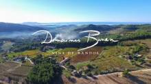 vente de vin d'exception La Cadière d'Azur dans le var Domaine de Bunan